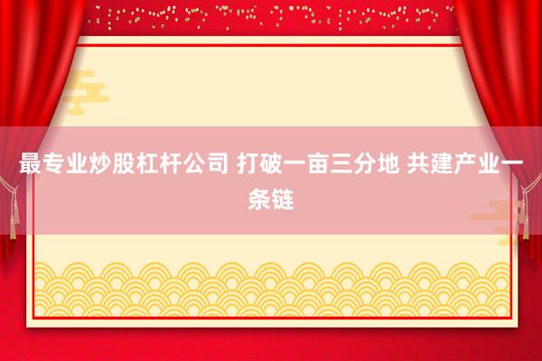 最专业炒股杠杆公司 打破一亩三分地 共建产业一条链