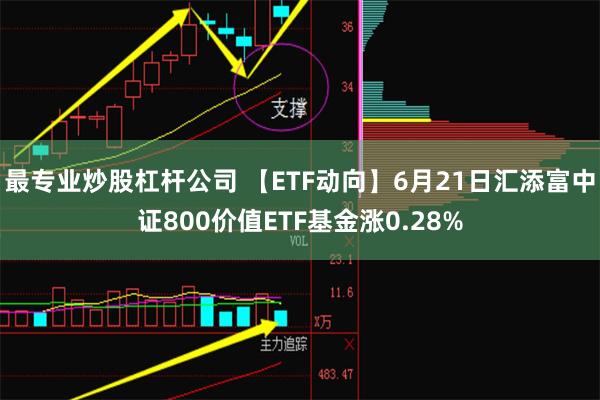 最专业炒股杠杆公司 【ETF动向】6月21日汇添富中证800价值ETF基金涨0.28%